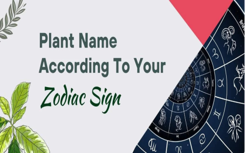 Finding Capricorn Power Colors Boost Confidence with Right Tones