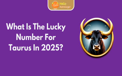 Check Your Daily Horoscope 2 3 25 Best Tips and Lucky Numbers