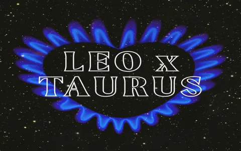 Aquarius and Leo gay compatibility： How well do they match in love？