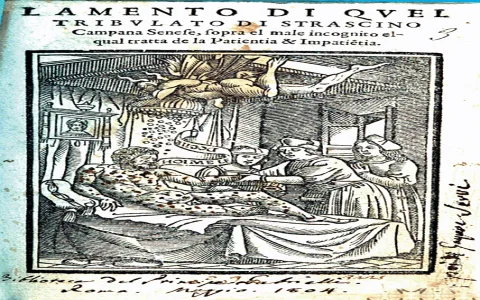 Is the 1556 angel number a sign？ Heres what experts say!