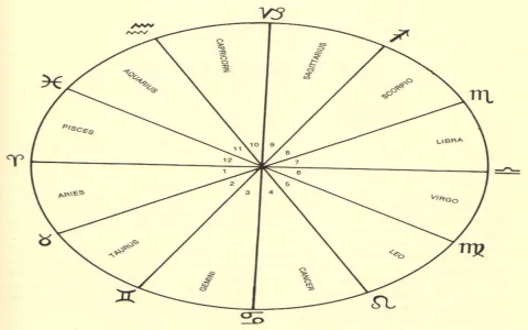 Is Aquarius and Leo a good match? Check these signs for clues!