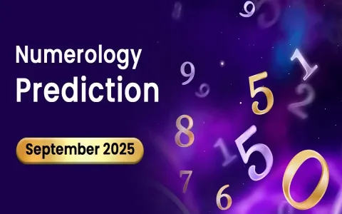How to embrace the energy of the 5 numerology year? Find out now!